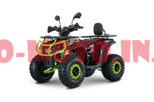 Квадроцикл Forte AFP 125 Pro